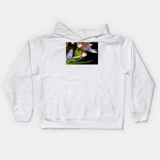 The embrace Kids Hoodie